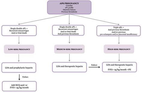 apas pregnancy in tagalog|Obstetric antiphospholipid syndrome .